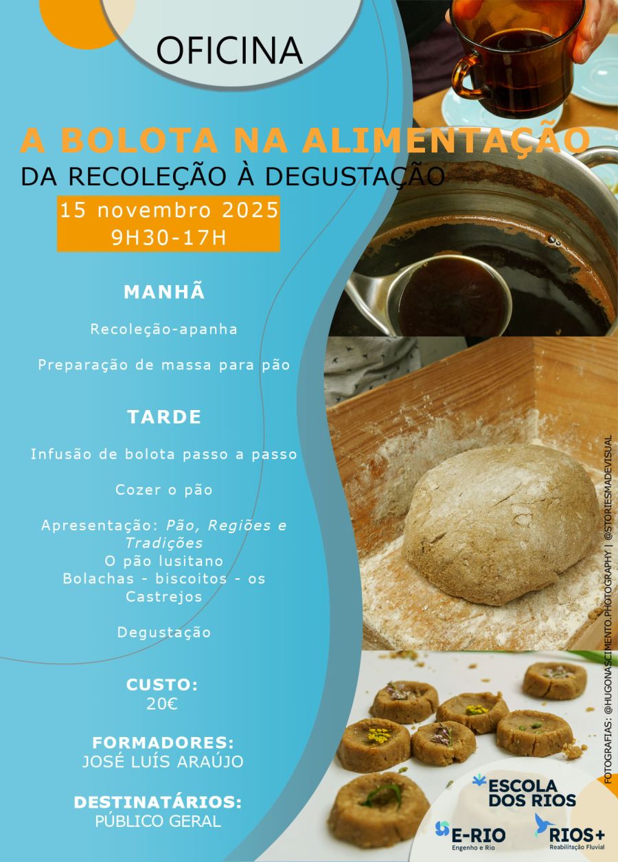 A bolota na alimentação - da recoleção à degustação