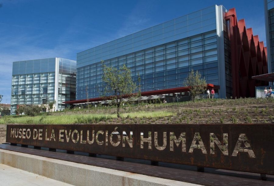 MUSEO DE LA EVOLUCIÓN HUMANA (Burgos). EXPOSICIÓN TEMPORAL: ...
