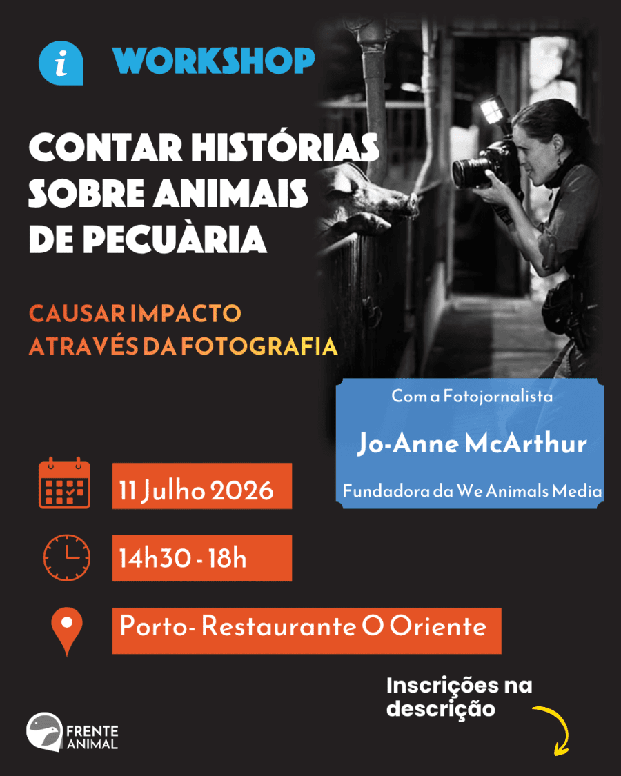 Jo-Anne McArthur no Porto | Como a fotografia pode mudar a forma como vemos os animais 