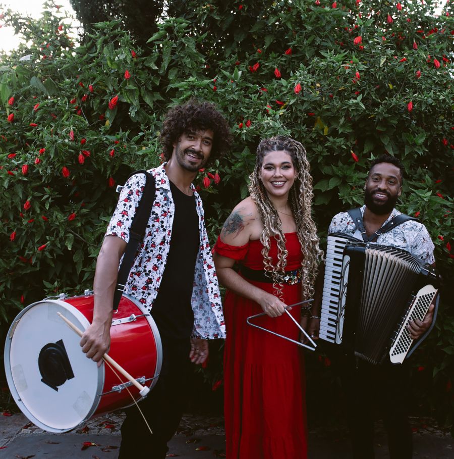 FORRÓ HARMONIZE