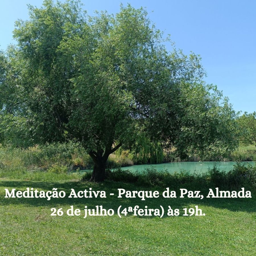 Meditação Activa (em movimento) no Parque