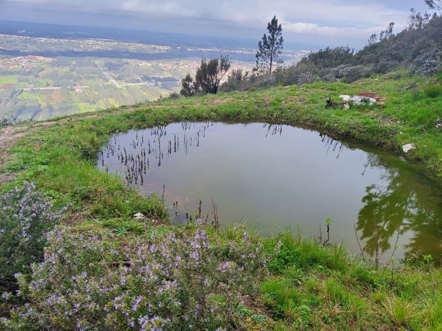 Trilho Panorâmico do Pocinho | PNSAC