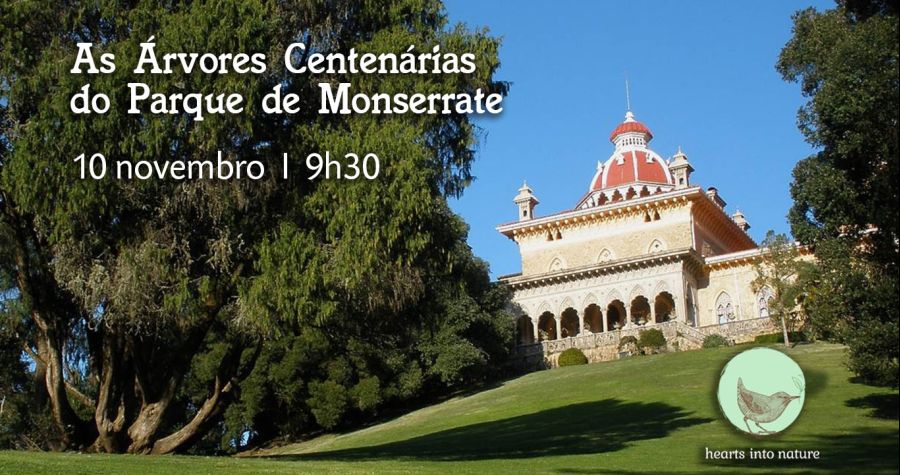 As Árvores Centenárias do Parque de Monserrate