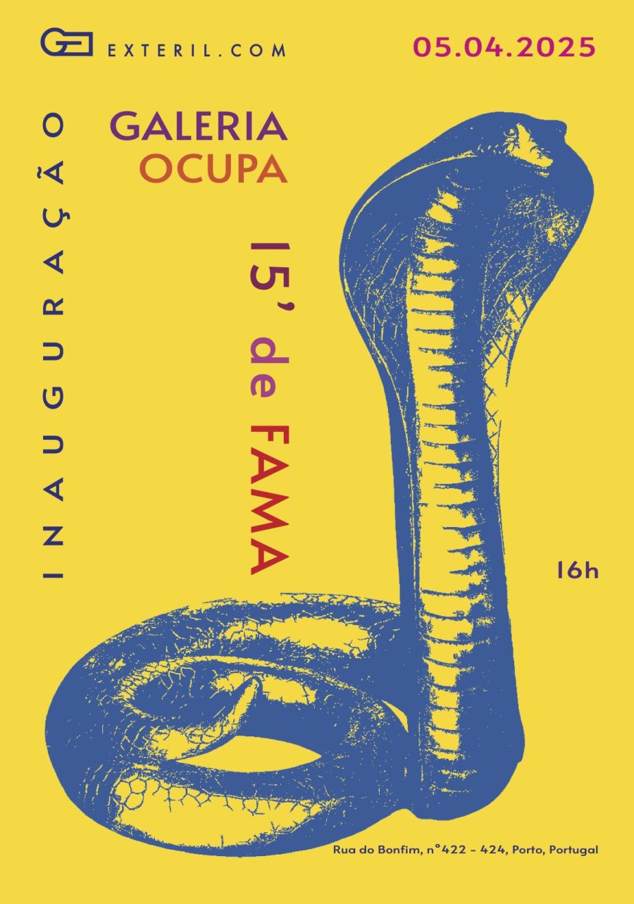 15 minutos de fama - 8ª edição