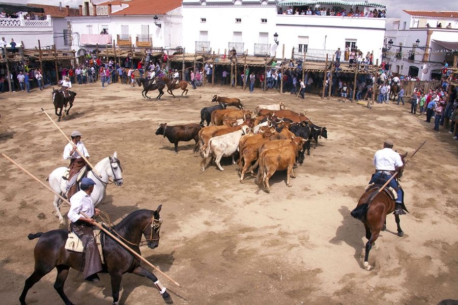 Las Capeas de Segura de León 2026