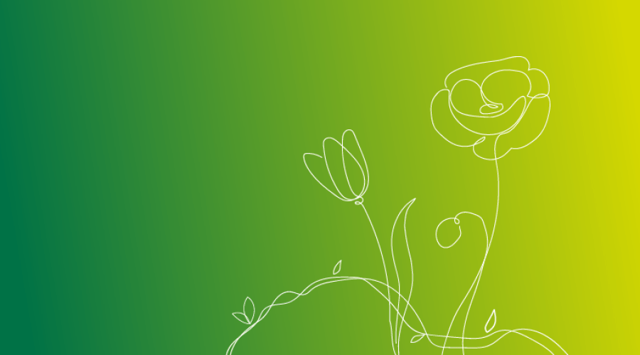 Design e Planeamento de Hortas - Academia LIPOR