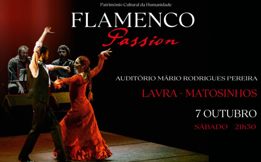 Flamenco Passion | Música & Dança