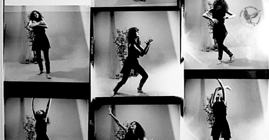  METODOLOGIA II - A SESSÃO DE BIODANZA 