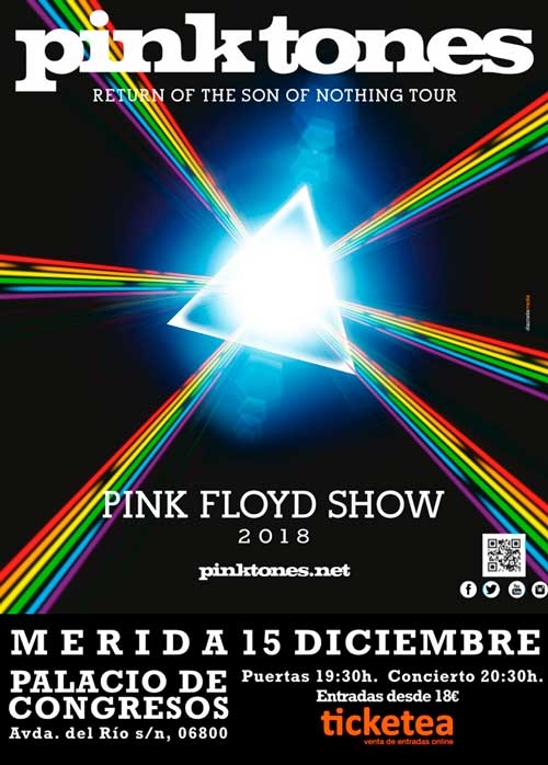 Tributo a PINK FLOYD (Pink Tones)