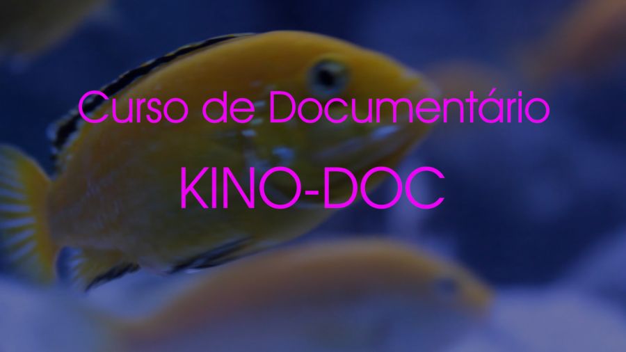 CURSO DE DOCUMENTÁRIO KINO-DOC 2024-25: presencial ou online