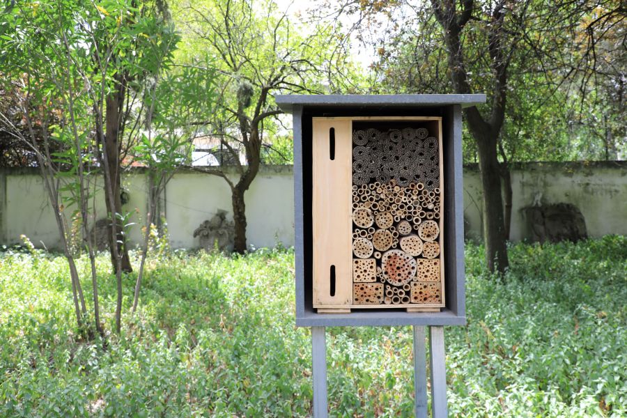 Oficina • Um hotel de insetos