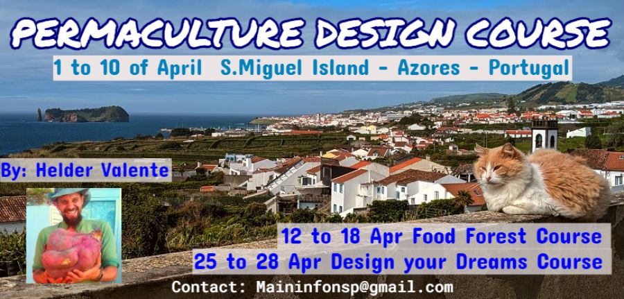 PDC Permaculture Design Course on S.miguel Island - Azores - Portugal April 2024