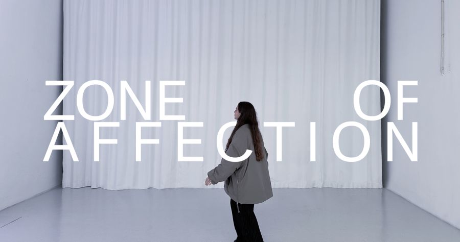 ZONE OF AFFECTION - exposição colectiva ZABRA