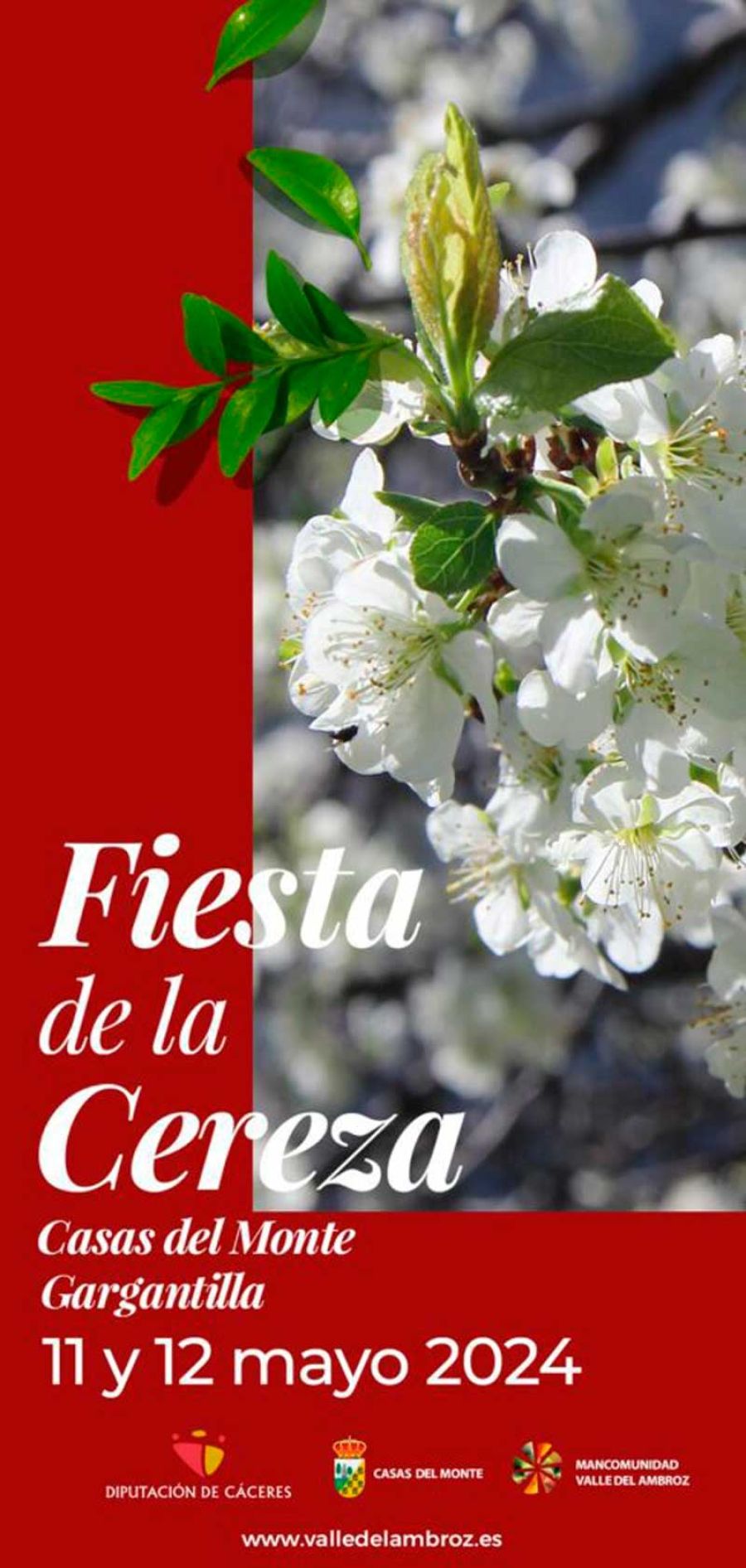 I Feria de la Cereza y la Ciruela 2024 | Valle del Ambroz