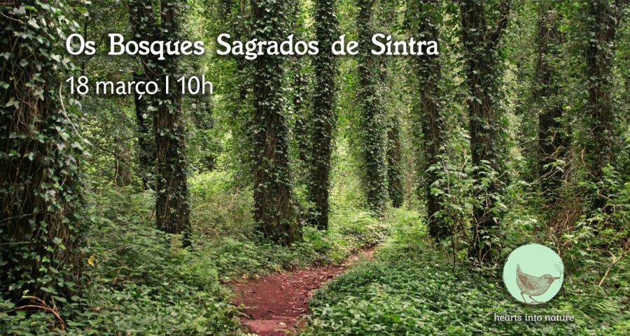 Os Bosques Sagrados de Sintra