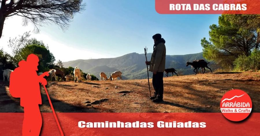 Caminhada . Rota das Cabras . Azeitão 