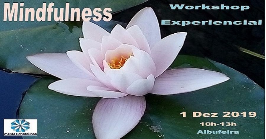 Workshop Experiencial de Mindfulness - Viver Mindful