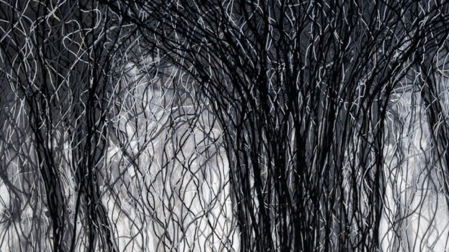 Enraizados, de Alessandra Sequeira