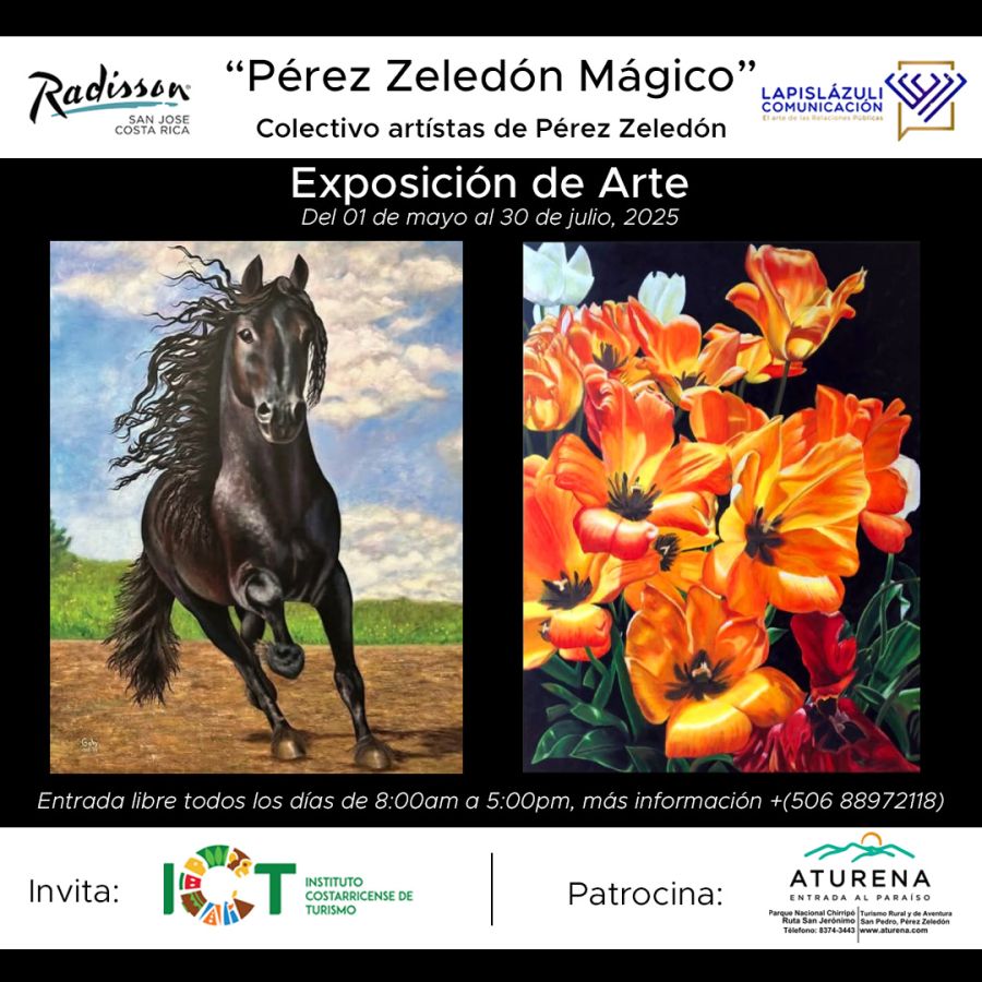 Pérez Zeledón Mágico. Colectiva