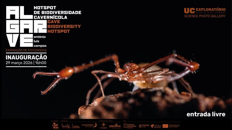 Inauguração - Algarve | Hotspot Biodiversidade Cavernícola