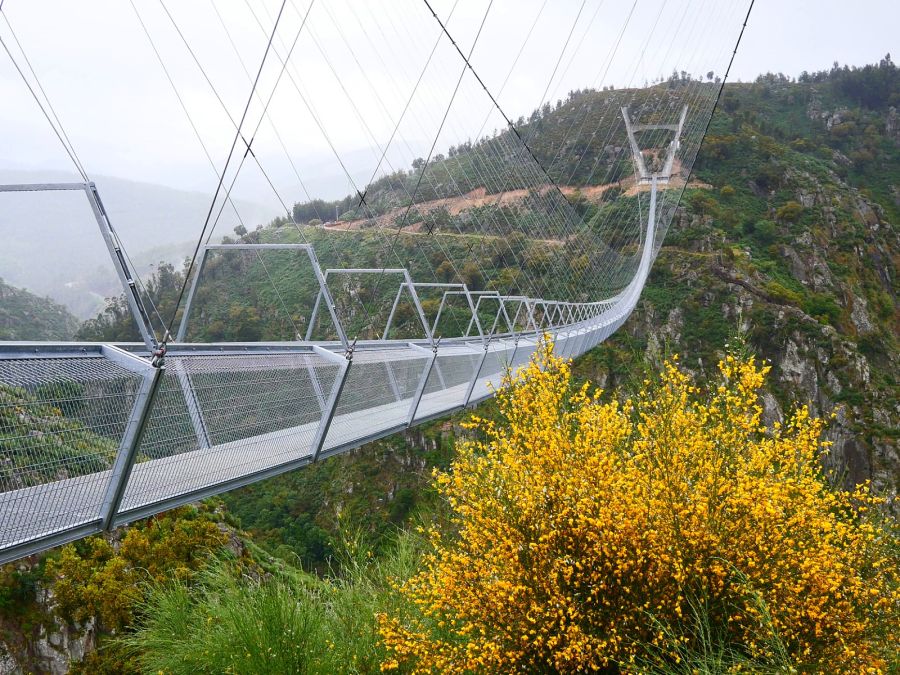 Ponte Suspensa e passadiços do Paiva