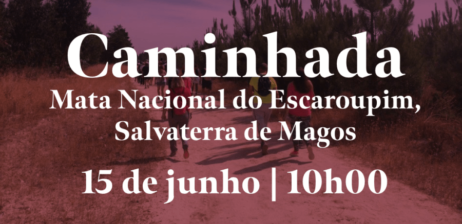 Caminhada Mata Nacional do Escaroupim, Salvaterra de Magos