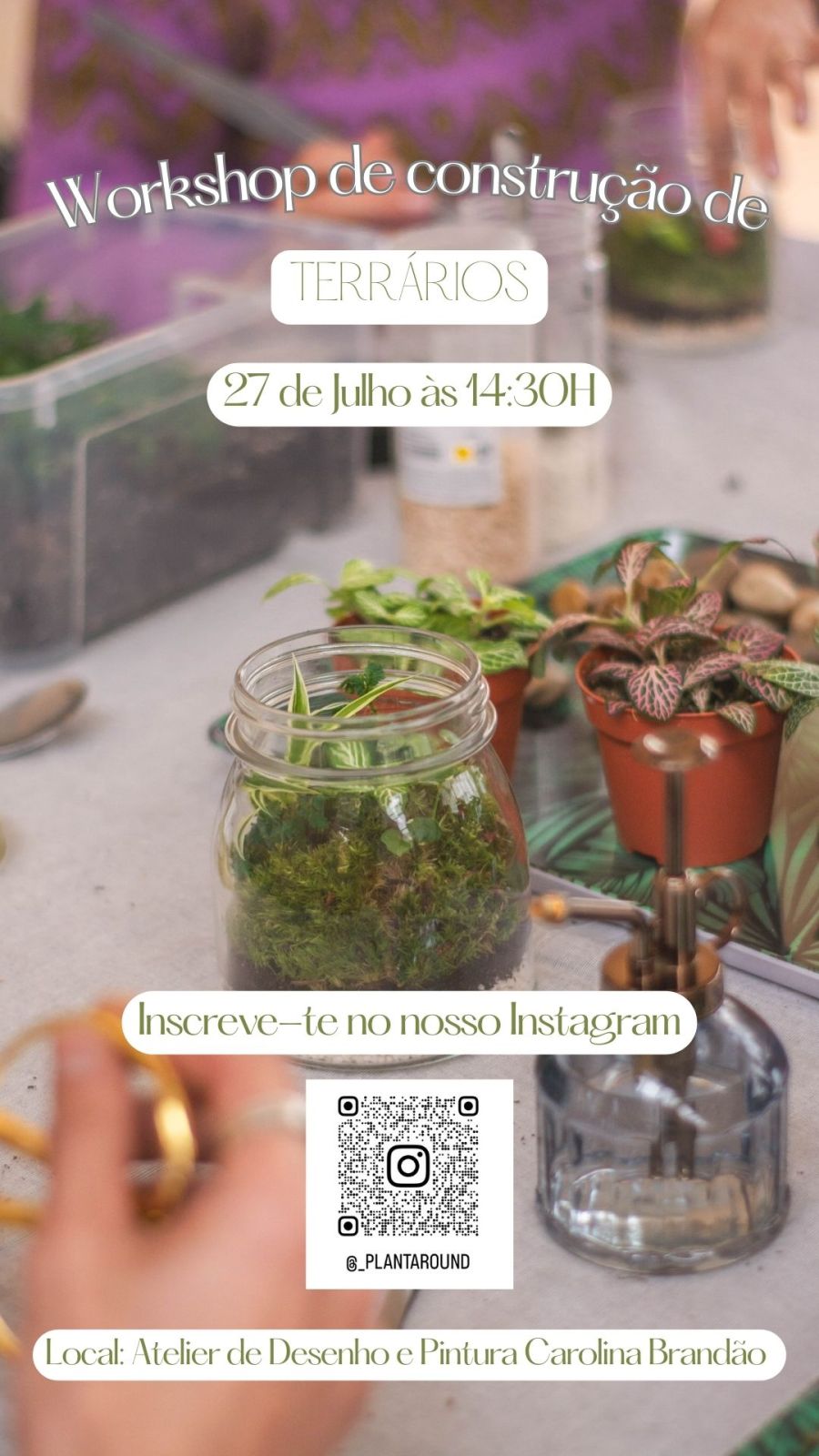 Workshop De Terrários 