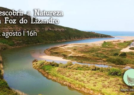 Descobrir a Natureza da Foz do Lizandro