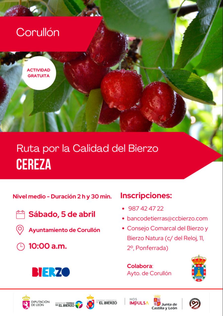 Ruta de la cereza
																					@ Corullón