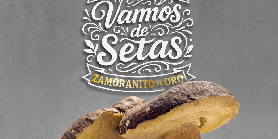 XI Concurso “Vamos de Setas – Zamoranito de Oro”