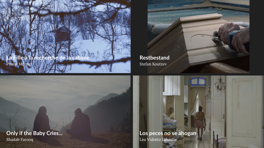Curtas Internacionais | DOC.COIMBRA
