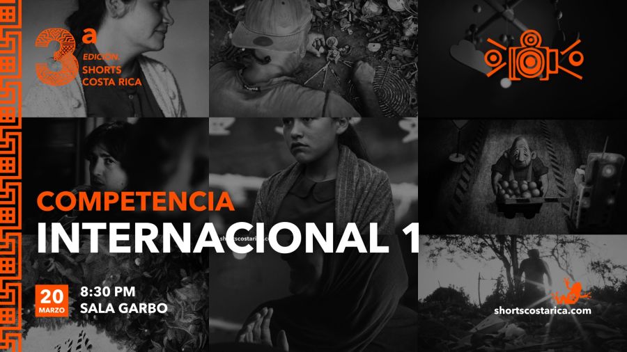 Competencia Internacional - Función 1