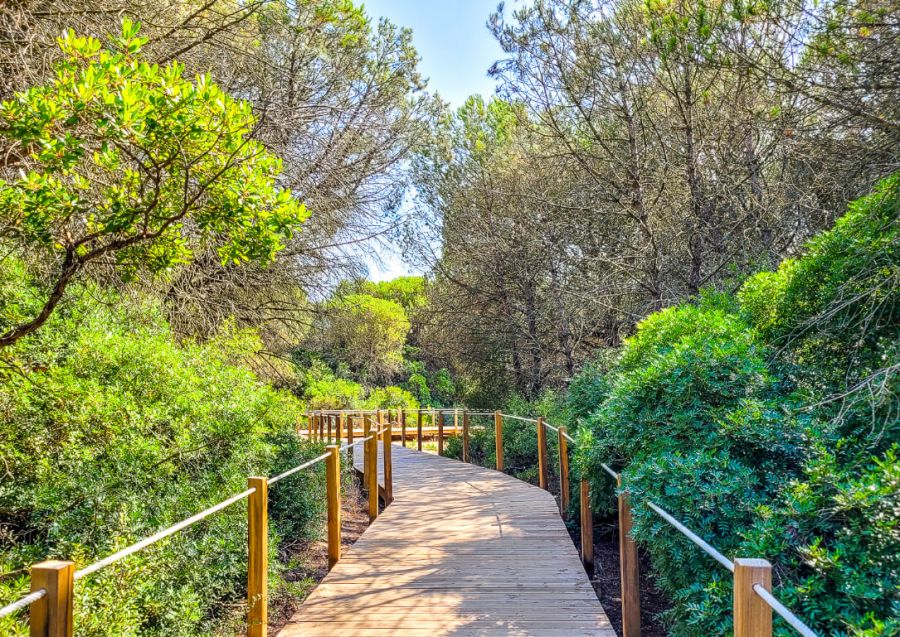 'Caminhada Meditativa pelos Passadiços da Costa - 23 de Fevereiro 2025