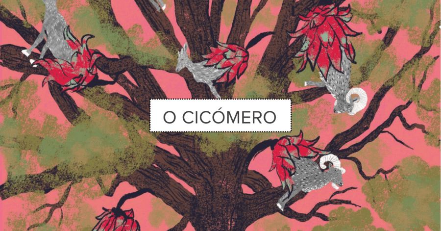 O CICÓMERO