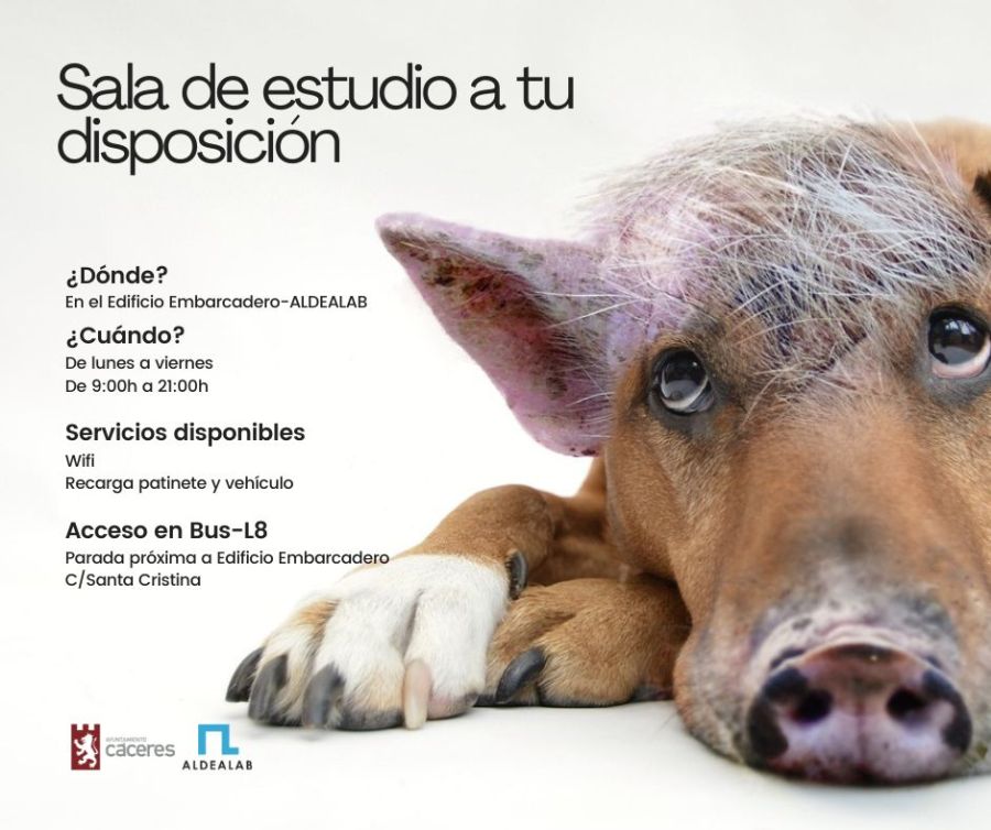 Sala de estudio a tu disposición