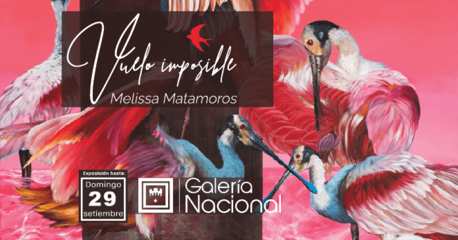 Vuelo Imposible. Melissa Matamoros