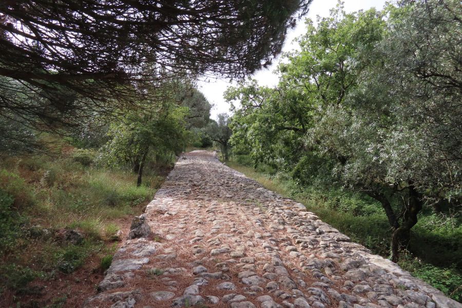 Calçada Romana e Caminhos Rurais