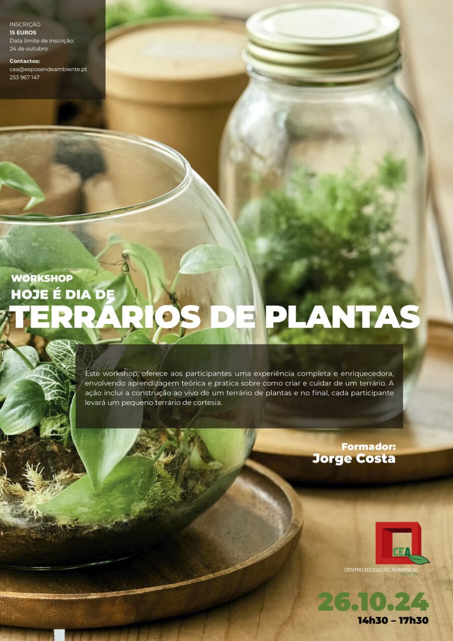 Workshop “Hoje é dia de Terrários de plantas”