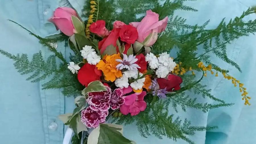 La Enramá de Pinofranqueado 2026