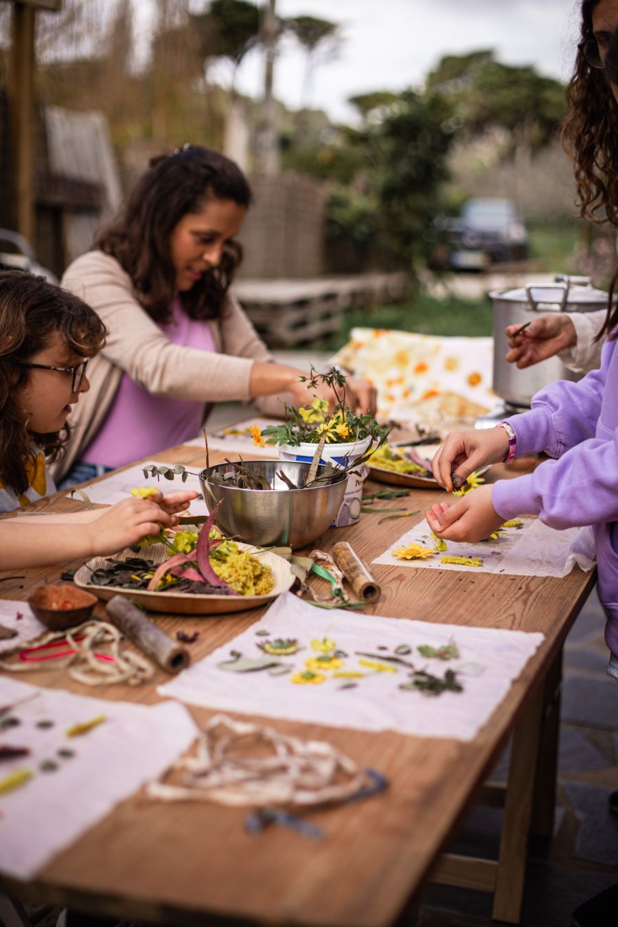 Atelier de Impressão Botânica | Famílias – Botanical print| Families