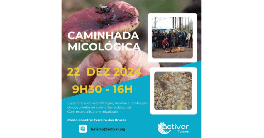 Caminhada Micológica