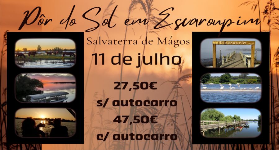 Pôr do Sol em Escaroupim - Salvaterra de Mágos