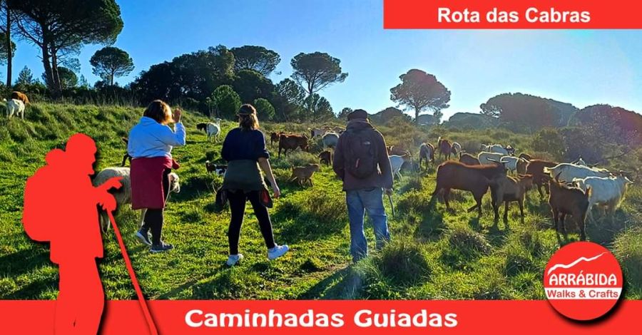 Caminhada . Rota das Cabras . Azeitão 