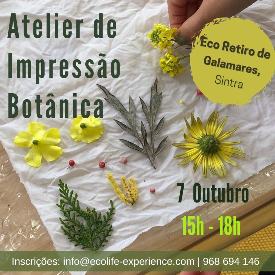 Workshop Impressão Botânica em tecido e papel