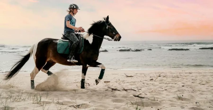 Passeio a cavalo – Viana do Castelo