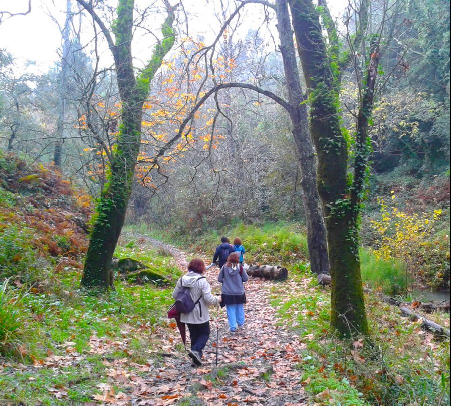 Caminhada na Fonteireira, Serra da Carregueira - 7 de setembro de  2025