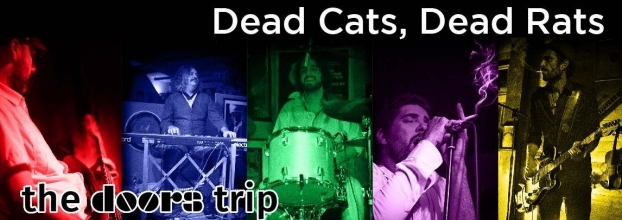 Concerto com Dead cats Dead rats The Doors Trip no Clube da Praia