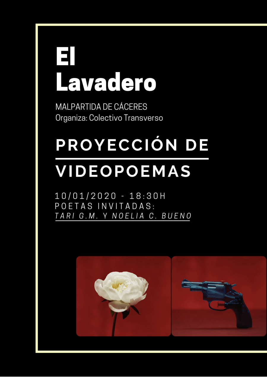 Proyección de videopoemas en El Lavadero (Malpartida de Cáceres)