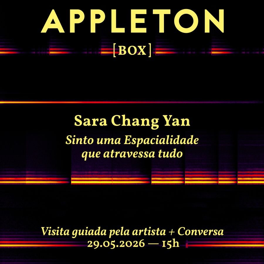 Sara Chang Yan: Sinto uma Espacialidade que atravessa tudo - Visita guiada e conversa com a artista