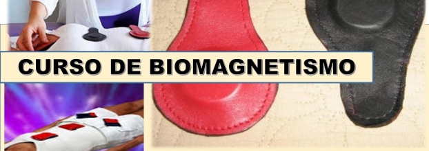 Curso de Biomagnetismo